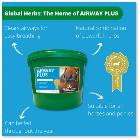 Global Herbs Airway Plus Powder Global Herbs