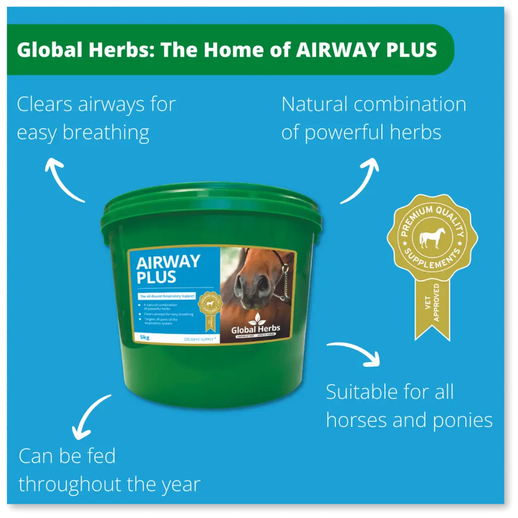 Global Herbs Airway Plus Powder Global Herbs