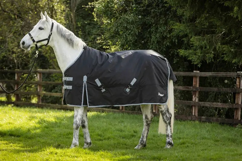 Rhinegold Konig Outdoor Rug - Birdham Animal Feeds