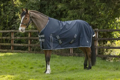 Rhinegold Arizona Outdoor Rug Rhinegold