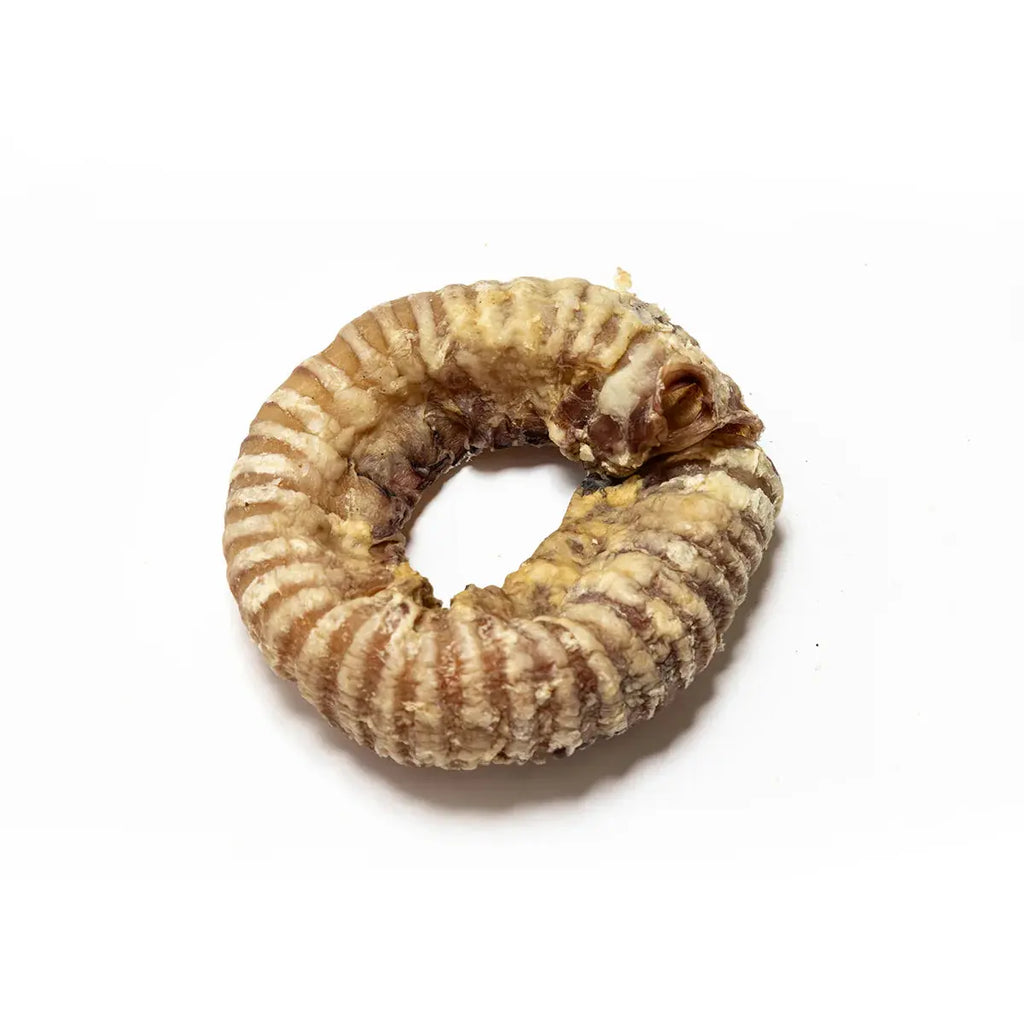 Beef Trachea Ring Birdham Animal Feeds