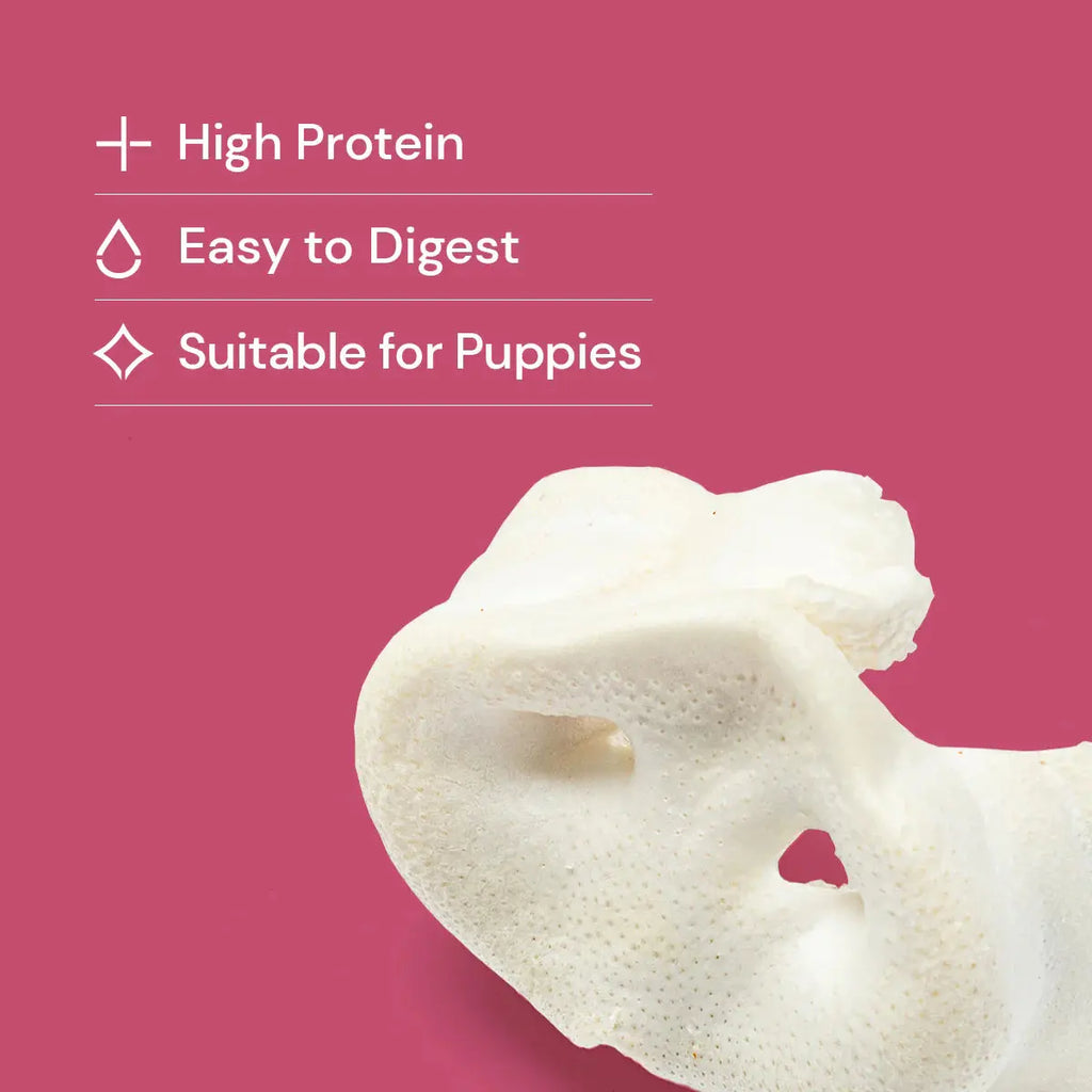 Nutriment Puffed Pig Snouts 10 pack Nutriment