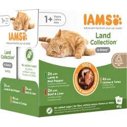 Iams Advanced Nutrition Adult 1+ years Cat Land Collection in Gravy 8pk Iams