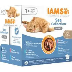 Iams Advanced Nutrition Adult 1+ Years Cat Sea Collection in Jelly 8pk Iams