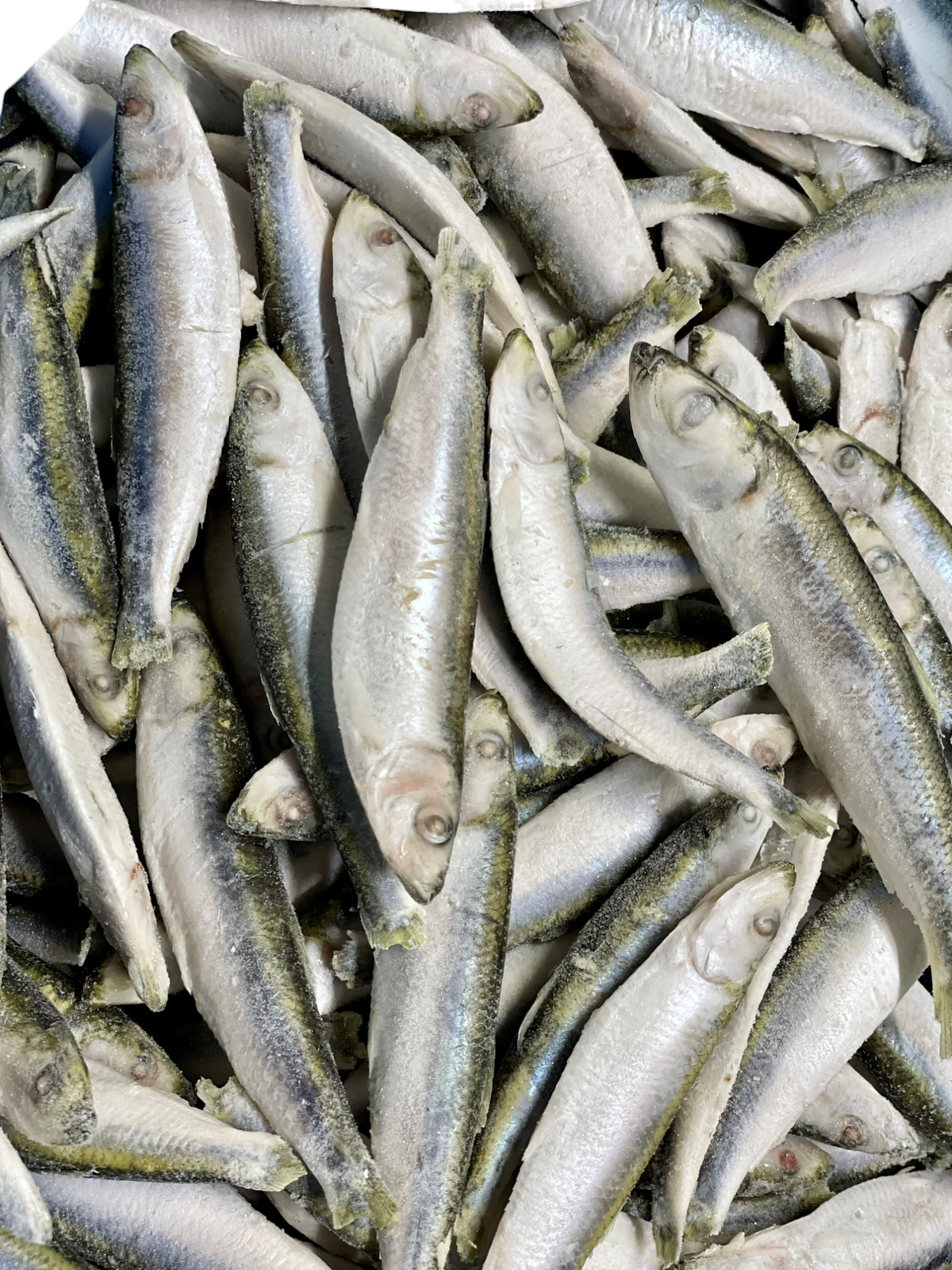 Dougie’s Sprats 1kg