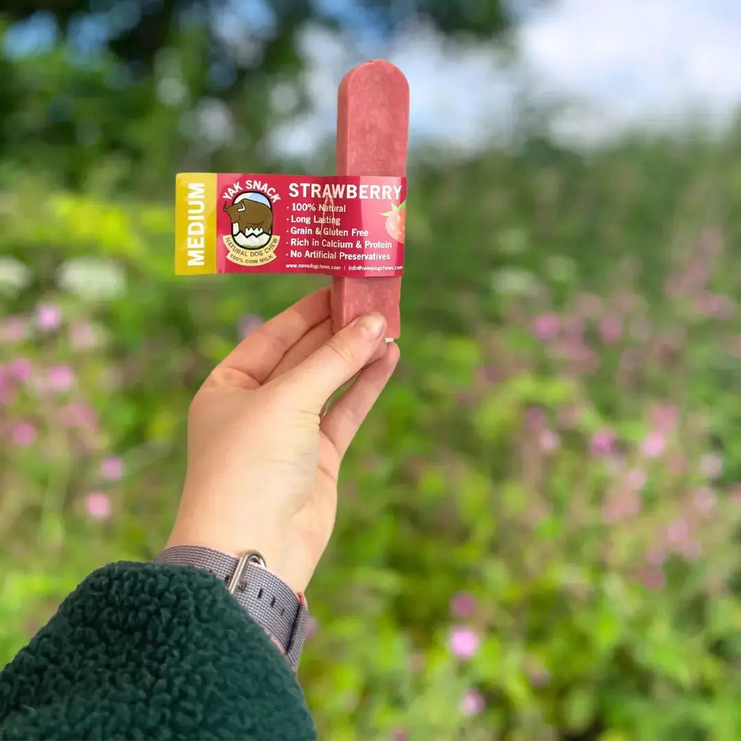 Nova Strawberry Yak Natural Dog Chew Nova Dog Chews