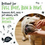 Bugalugs Fragrance Free Dog Wipes Bugalugs