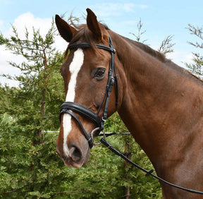 Rhinegold Comfort Bridle - Birdham Animal Feeds