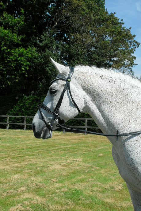 Rhinegold Anatomic Bridle - Birdham Animal Feeds