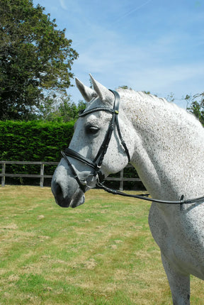 Rhinegold Anatomic Bridle - Birdham Animal Feeds