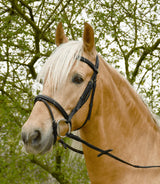 Rhinegold Elegance Stitched Flash Bridle - Birdham Animal Feeds