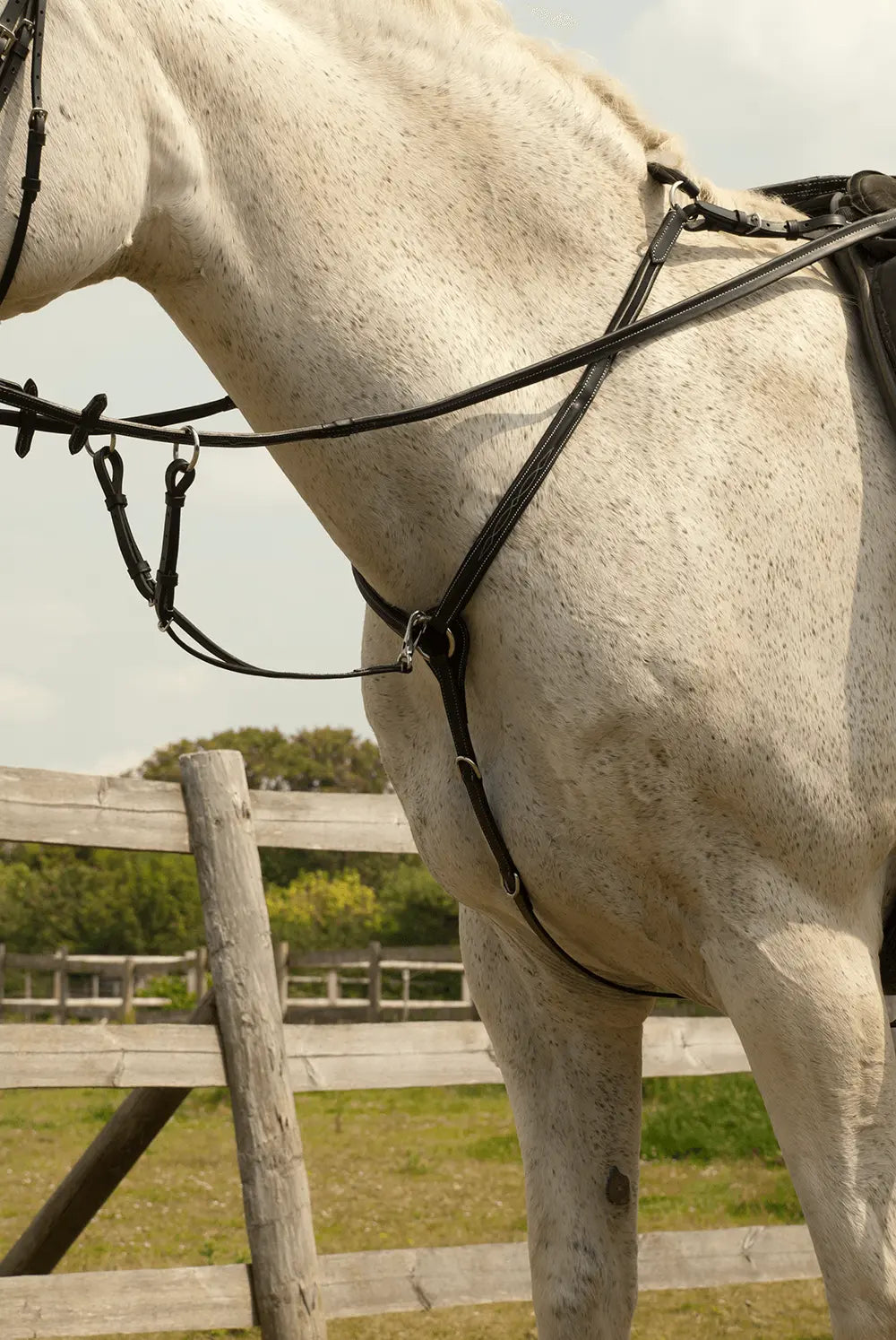 Rhinegold Elegance Stitched Breastplate - Birdham Animal Feeds