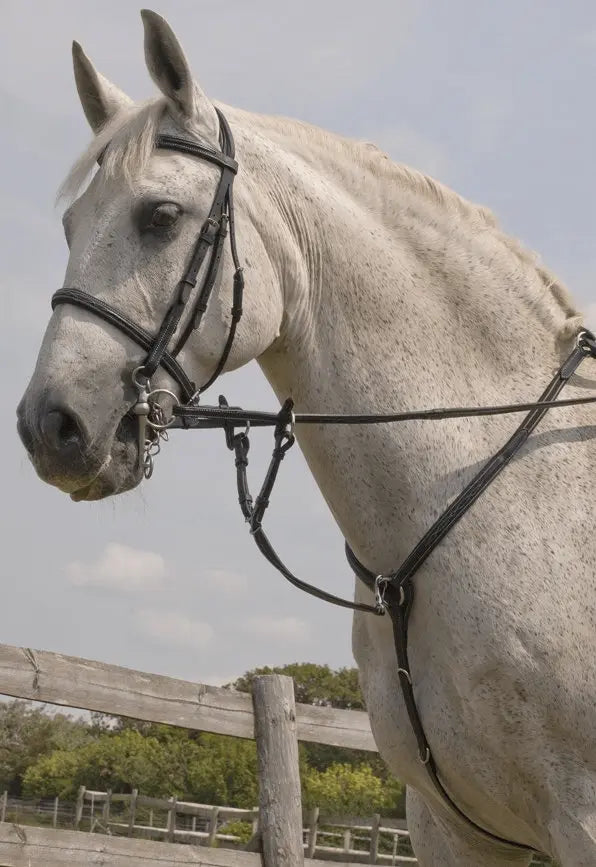 Rhinegold Elegance Stitched Breastplate - Birdham Animal Feeds