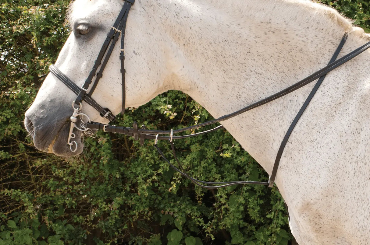 Rhinegold Elegance Stitched Running Martingale - Birdham Animal Feeds