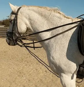 Rhinegold Leather And Rope Draw Reins - Birdham Animal Feeds