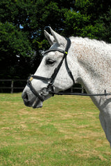 Rhinegold Anatomic Mexican Bridle - Birdham Animal Feeds