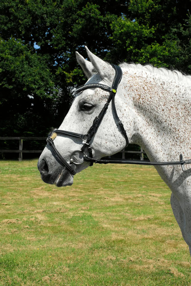 Rhinegold Anatomic Mexican Bridle - Birdham Animal Feeds