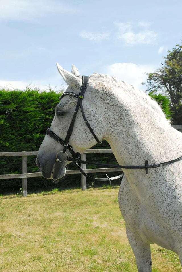 Rhinegold Anatomic Cavesson Bridle - Birdham Animal Feeds