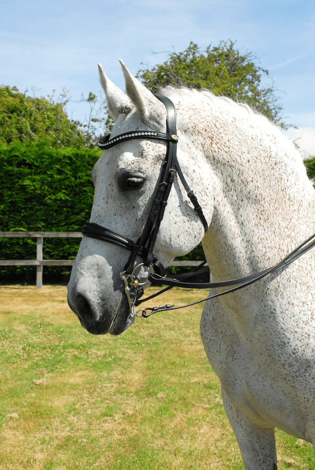 Rhinegold Anatomic Double Bridle - Birdham Animal Feeds