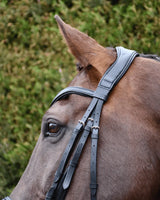 Rhinegold Softee Pro-Anatomic Flash Bridle - Birdham Animal Feeds