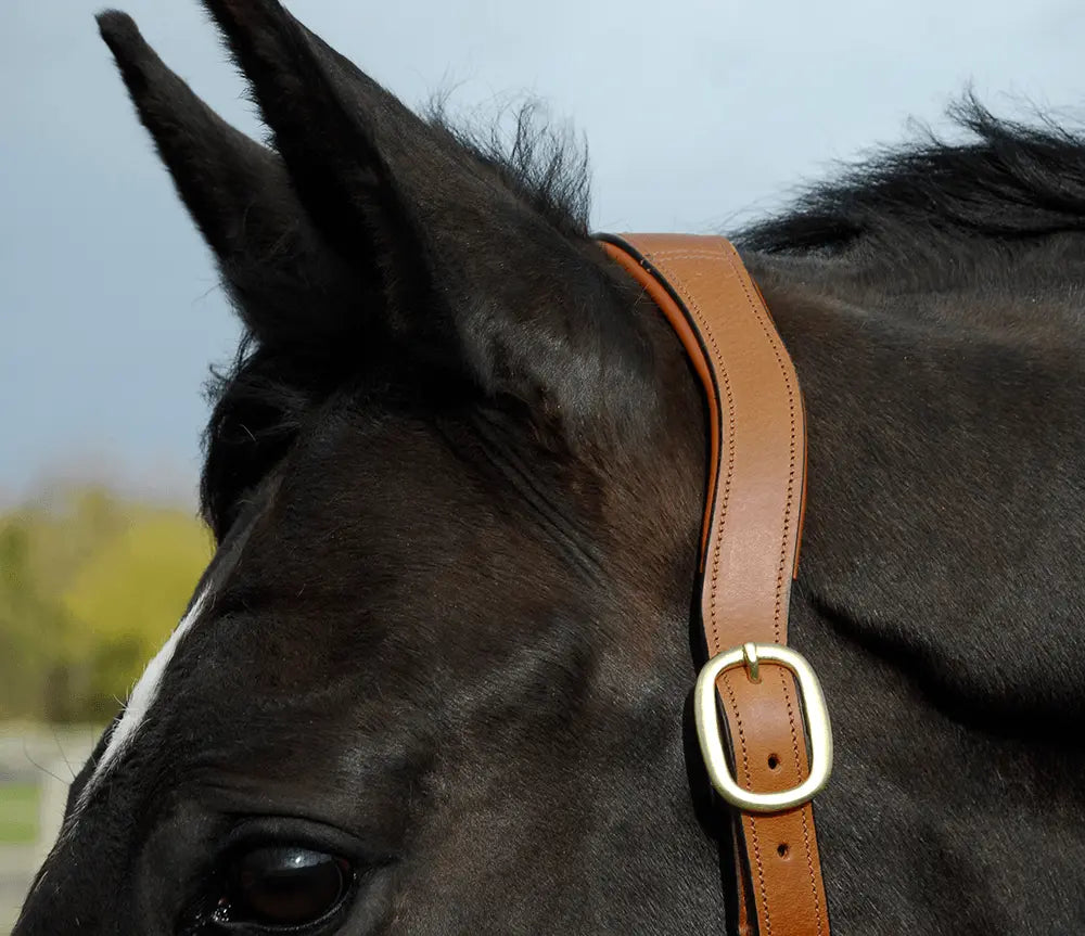 Rhinegold Pro-Anatomic Headcollar - Birdham Animal Feeds