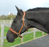 Rhinegold Pro-Anatomic Headcollar - Birdham Animal Feeds