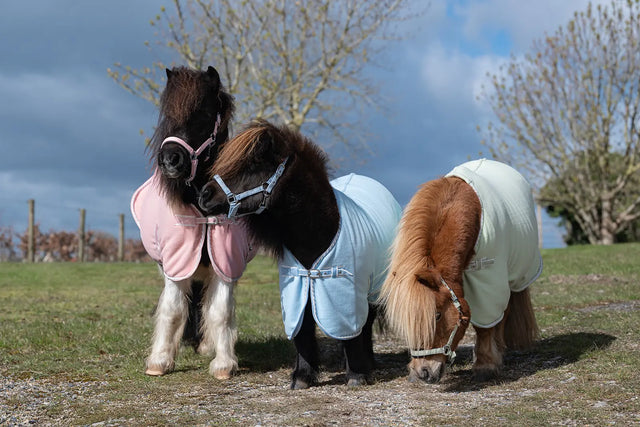 Rhinegold Mini Sorbet Fleece Rhinegold