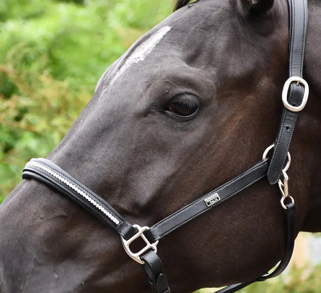 Rocco Italia Milano Leather Headcollar - Birdham Animal Feeds