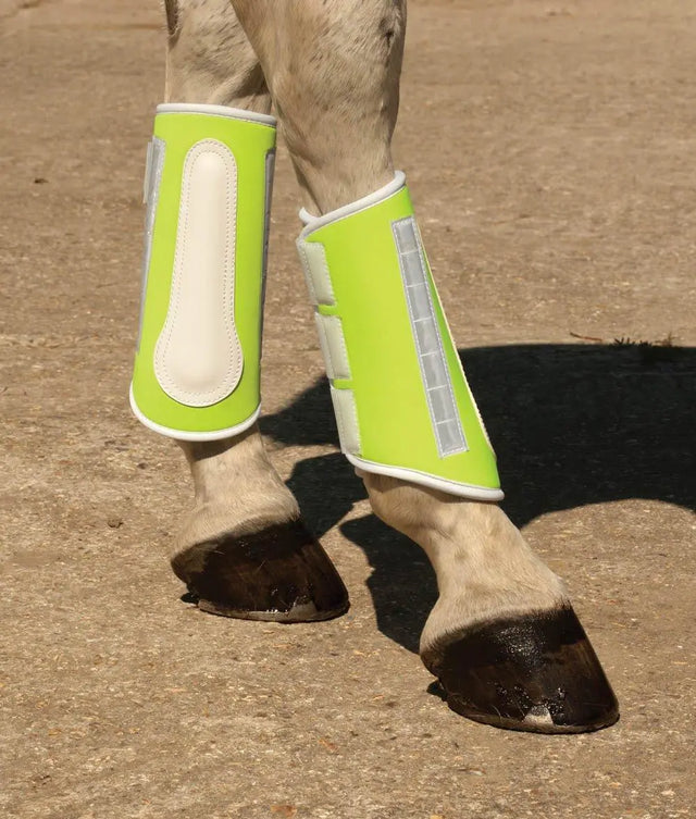 Harlequin Reflective Brushing Boots - Birdham Animal Feeds