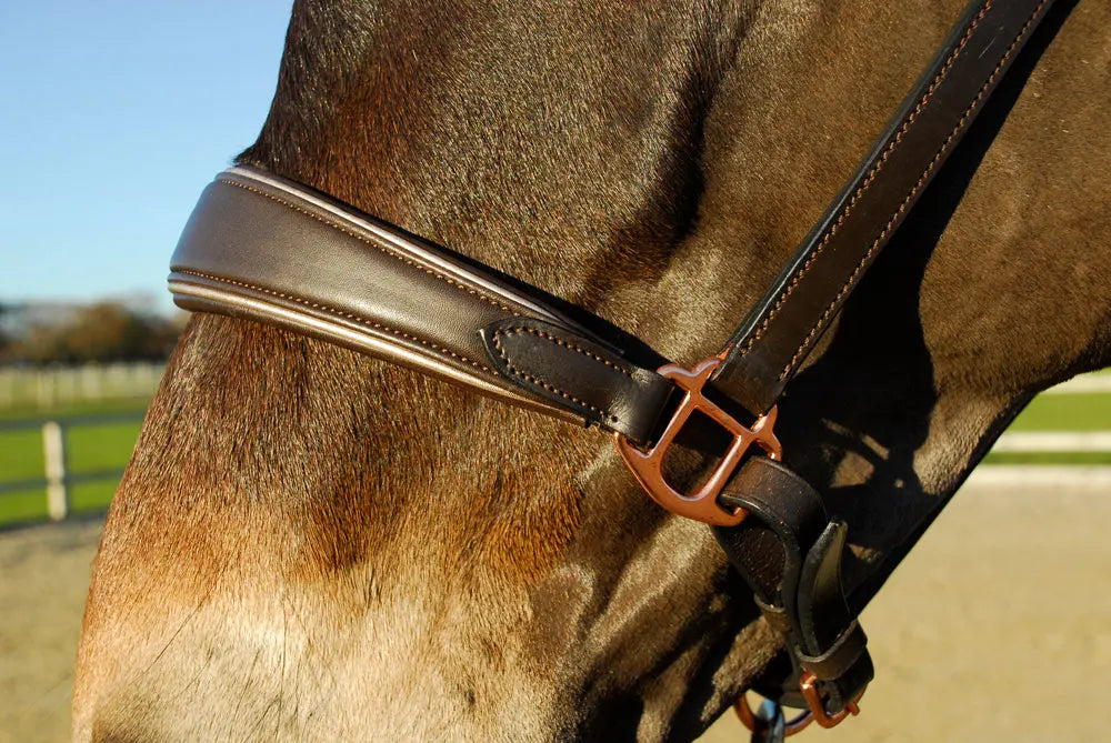 Rocco Italia Turin Leather Headcollar - Birdham Animal Feeds