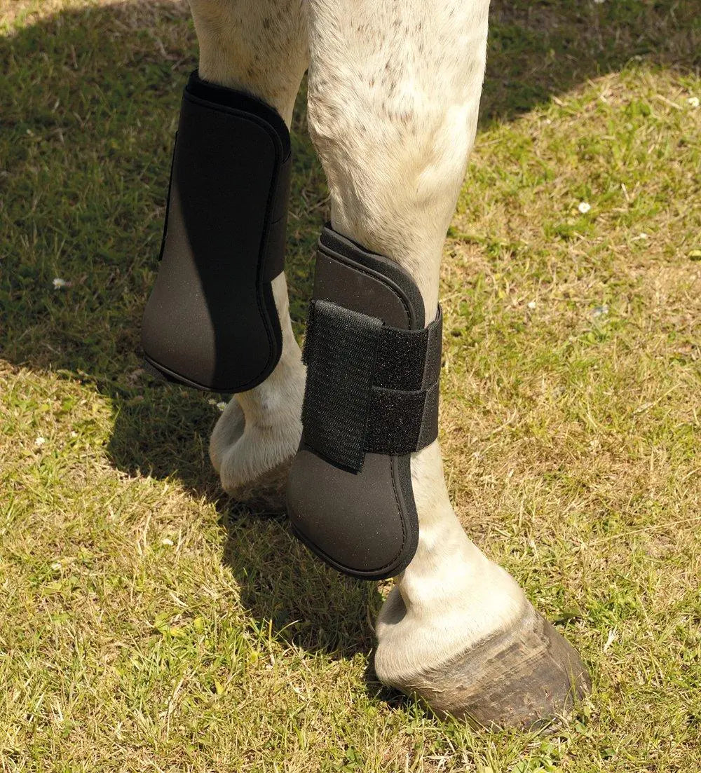 Harlequin Tendon Boots - Birdham Animal Feeds