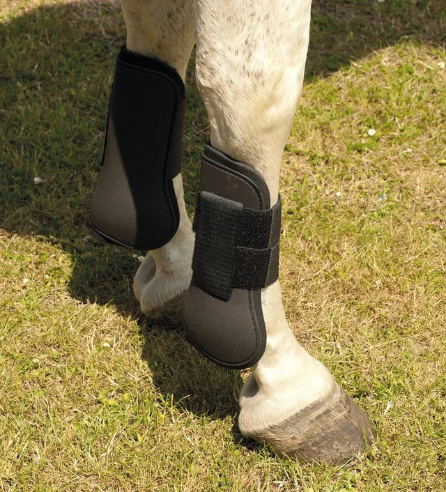 Harlequin Tendon Boots - Birdham Animal Feeds