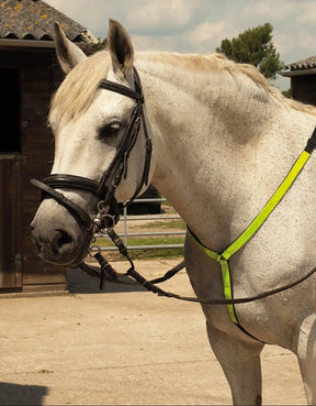 Harlequin Reflective Martingale - Birdham Animal Feeds