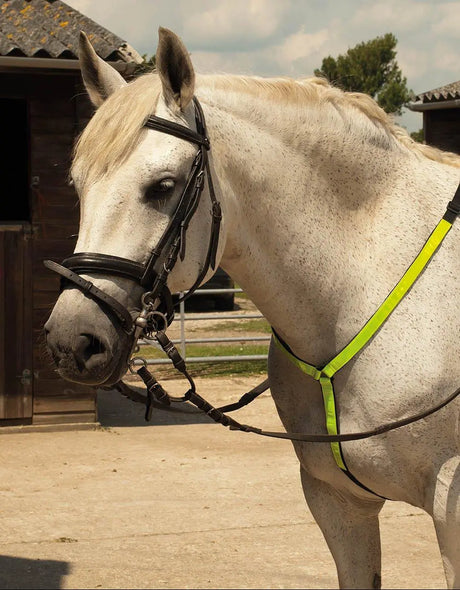 Harlequin Reflective Martingale - Birdham Animal Feeds