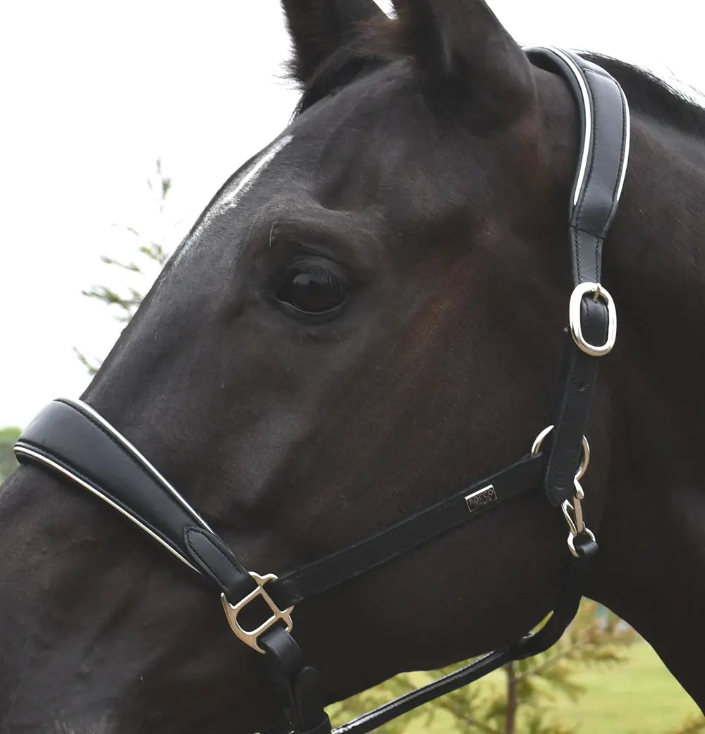 Rocco Italia Turin Leather Headcollar - Birdham Animal Feeds