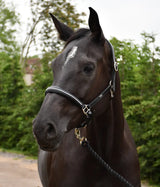 Rocco Italia Milano Leather Headcollar - Birdham Animal Feeds