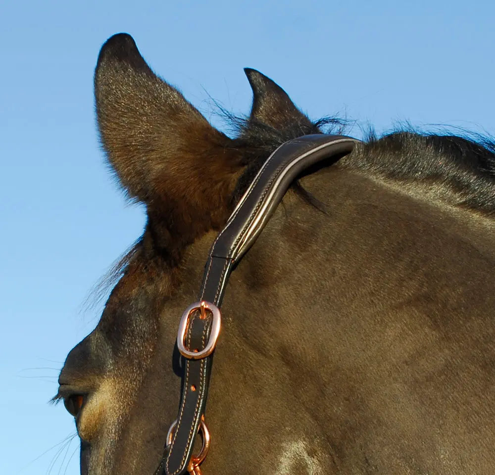Rocco Italia Turin Leather Headcollar - Birdham Animal Feeds