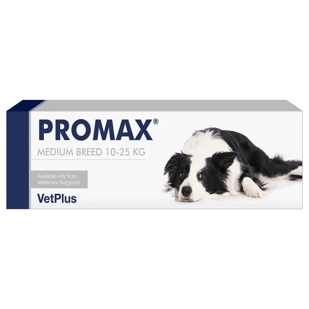 Promax VetPlus Digestive Support Birdham Animal Feeds