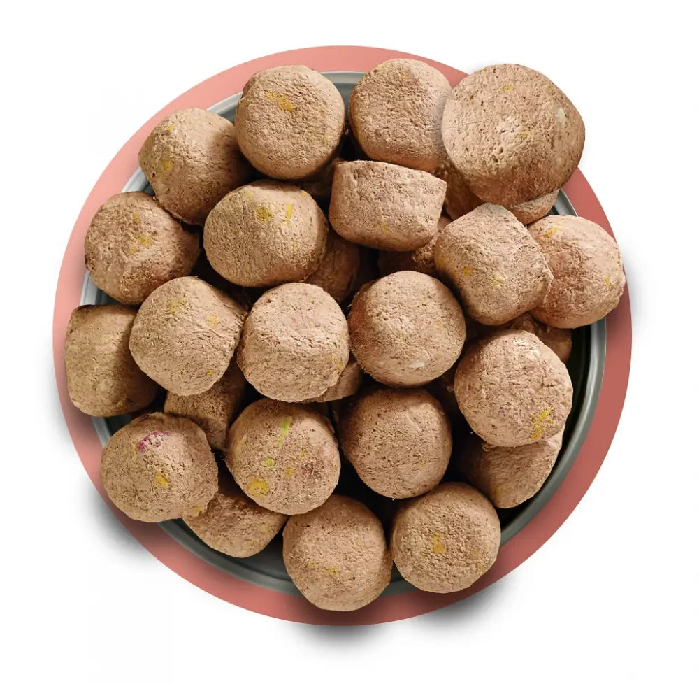 Natures Menu Raw Freeze Dried Beef Dinner Natures Menu