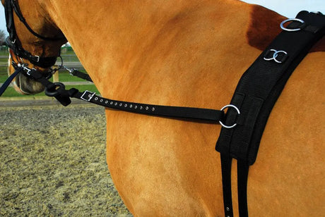 Rhinegold Training/ Breaking Set - Birdham Animal Feeds