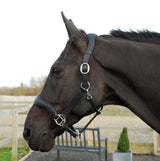 Rhinegold Softee Pro-Anatomic Headcollar - Birdham Animal Feeds