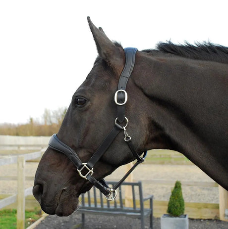 Rhinegold Softee Pro-Anatomic Headcollar - Birdham Animal Feeds