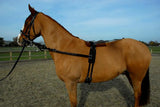 Rhinegold Training/ Breaking Set - Birdham Animal Feeds