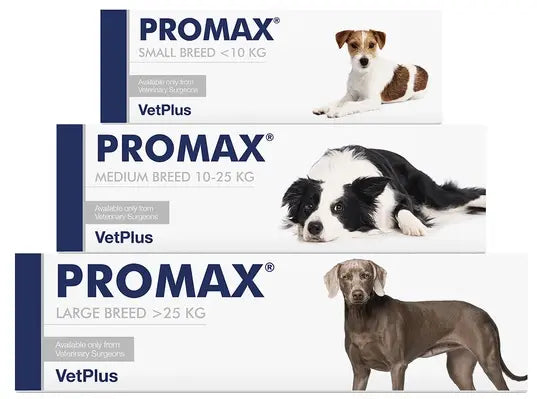 Promax VetPlus Digestive Support Birdham Animal Feeds