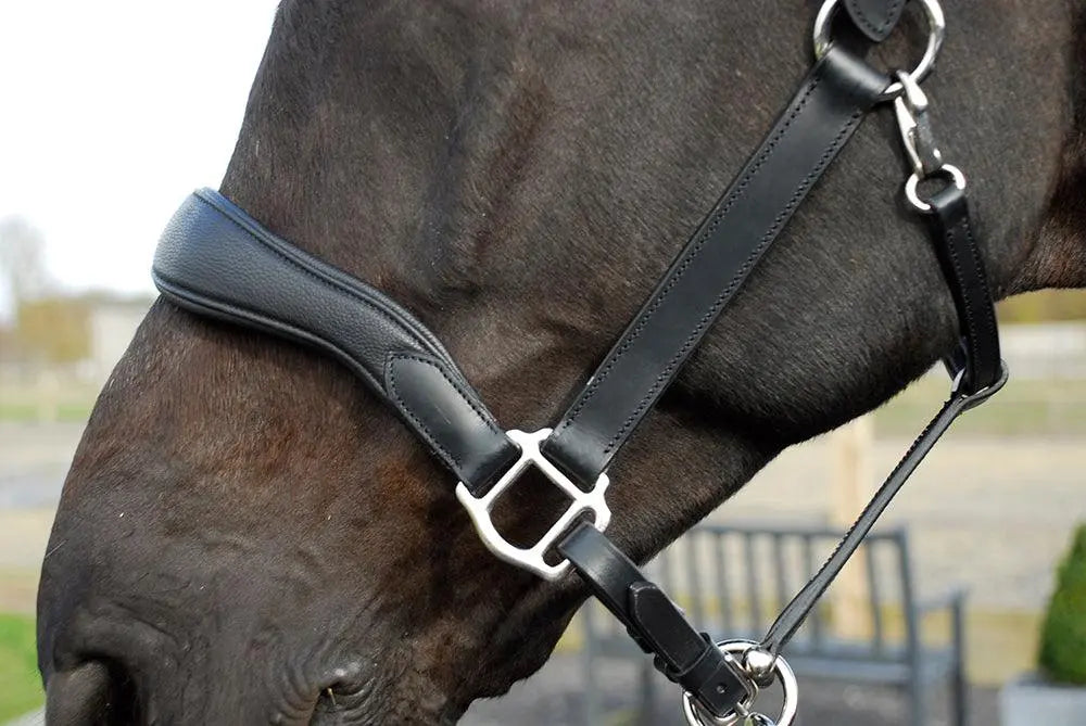 Rhinegold Softee Pro-Anatomic Headcollar - Birdham Animal Feeds