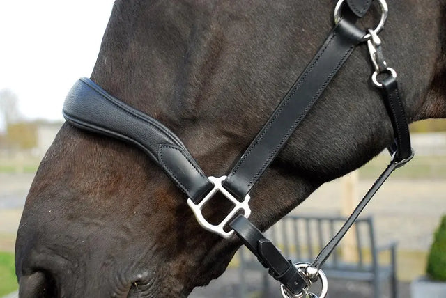 Rhinegold Softee Pro-Anatomic Headcollar - Birdham Animal Feeds