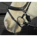 Heritage Leather Anatomical Flash Bridle and Reins - Birdham Animal Feeds