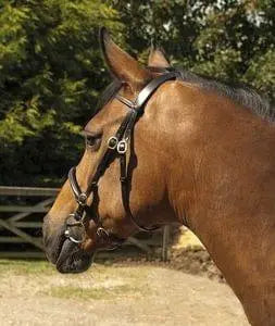 Heritage In-Hand Bridle - Birdham Animal Feeds