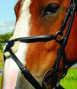 Heritage Mexican Bridle - Birdham Animal Feeds