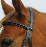 Heritage Comfort Bridle - No Flash - Birdham Animal Feeds